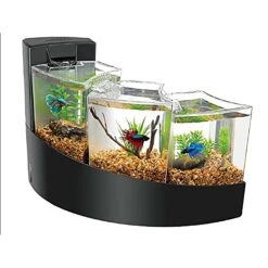 Aqueon Betta Falls Aquarium Kit