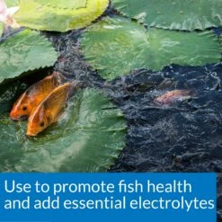 API Pond Salt 13 API Pond Salt -Plax Penn Shop 104369 PT4. AC SS1800 V1522679470