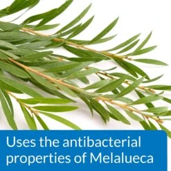 API Pond Melafix For Bacterial Infections In Fish 12 API Pond Melafix For Bacterial Infections In Fish -Plax Penn Shop 104374 PT4. AC SS1800 V1522679553