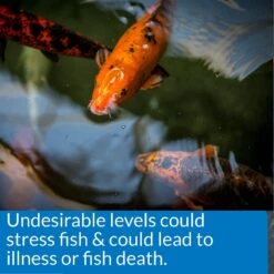 API Pond 5-IN-1 Test Strips -Plax Penn Shop 104379 PT5. AC SS1800 V1522679479