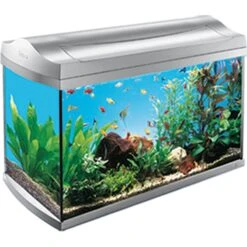 Tetra Whisper Air Pump For Deep Water Aquariums 13 Tetra Whisper Air Pump For Deep Water Aquariums -Plax Penn Shop 105684 PT4. AC SS1800 V1617322620