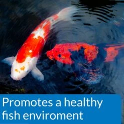 API Pond Ecofix Sludge Destroyer Pond Water Clarifier & Sludge Remover -Plax Penn Shop 123899 PT3. AC SS1800 V1522679732