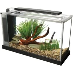 Fluval Spec Aquarium Kit 8 Fluval Spec Aquarium Kit -Plax Penn Shop 124902 PT2. AC SS1800 V1495566955