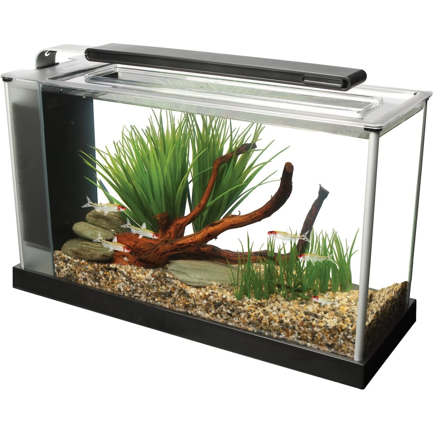 Fluval Spec Aquarium Kit 5 Fluval Spec Aquarium Kit - Image 3