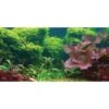 Sporn Static Cling Tropical Aquarium Background -Plax Penn Shop 129765 MAIN. AC SS1800 V1498068048