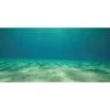 Sporn Static Cling Ocean Floor Aquarium Background -Plax Penn Shop 129768 MAIN. AC SS1800 V1498068048