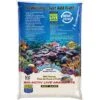 Nature's Ocean Bio-Activ Live Aragonite Saltwater Aquarium Sand, Natural White #1