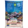 Nature's Ocean Bio-Activ Live Aragonite Saltwater Aquarium Sand, Reef Substrate, 8-lb Bag -Plax Penn Shop 135533 MAIN. AC SS1800 V1503079532