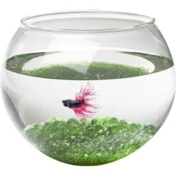 Pisces USA Betta Aquarium Jewels -Plax Penn Shop 137160 PT2. AC SS1800 V1506978101