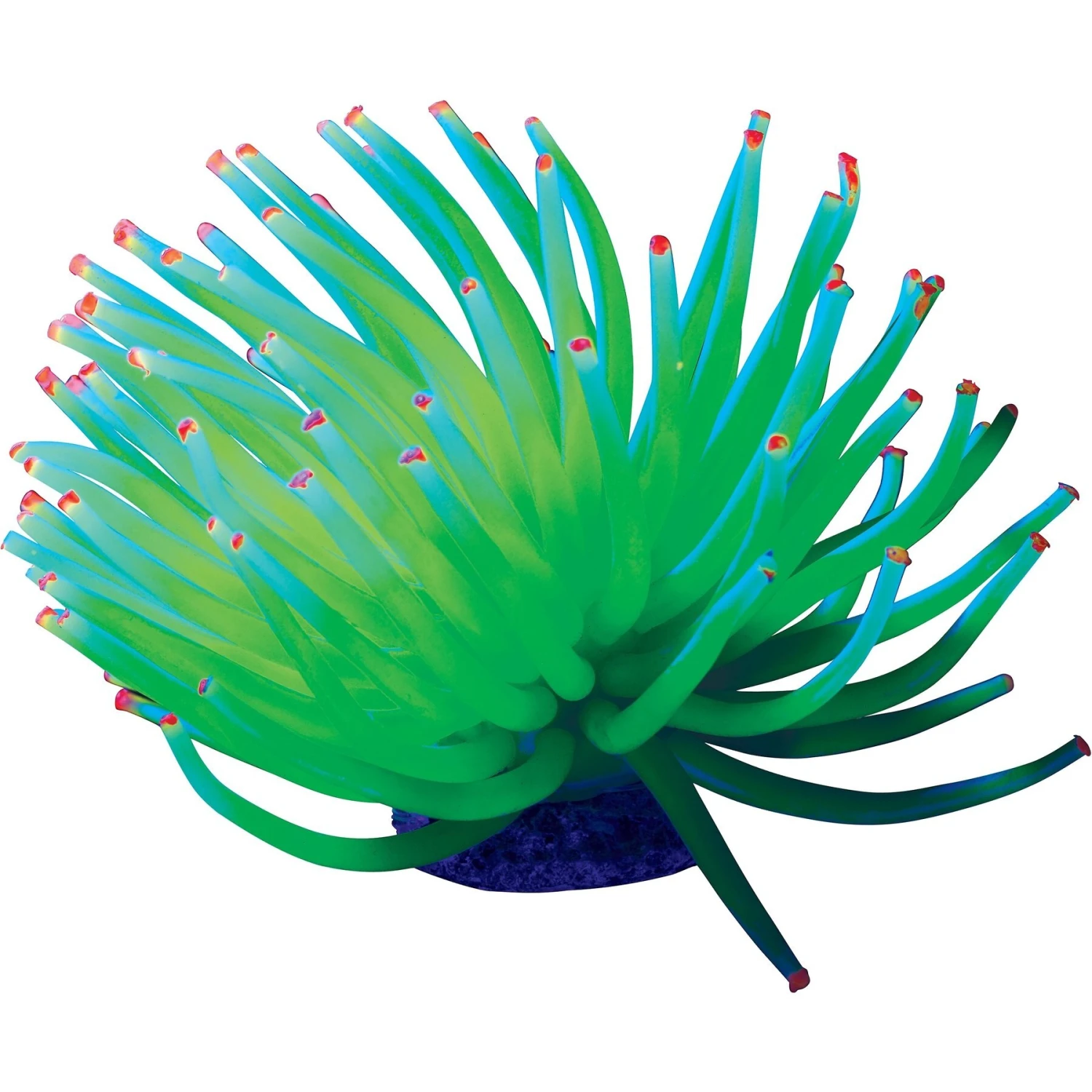 GloFish Aquarium Anemone Ornament 4 GloFish Aquarium Anemone Ornament - Image 2