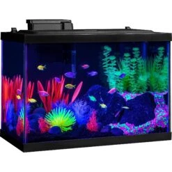 GloFish Aquarium Anemone Ornament 11 GloFish Aquarium Anemone Ornament -Plax Penn Shop 137830 PT4. AC SS1800 V1550183317