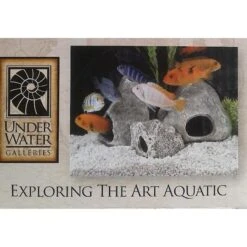 Underwater Galleries Assorted Cichlid Aquarium Stone Caves, 3 Count Box 9 Underwater Galleries Assorted Cichlid Aquarium Stone Caves, 3 Count Box -Plax Penn Shop 140749 PT3. AC SS1800 V1511968674