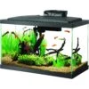 Aqueon LED Fish Aquarium Starter Kit, 10-gal