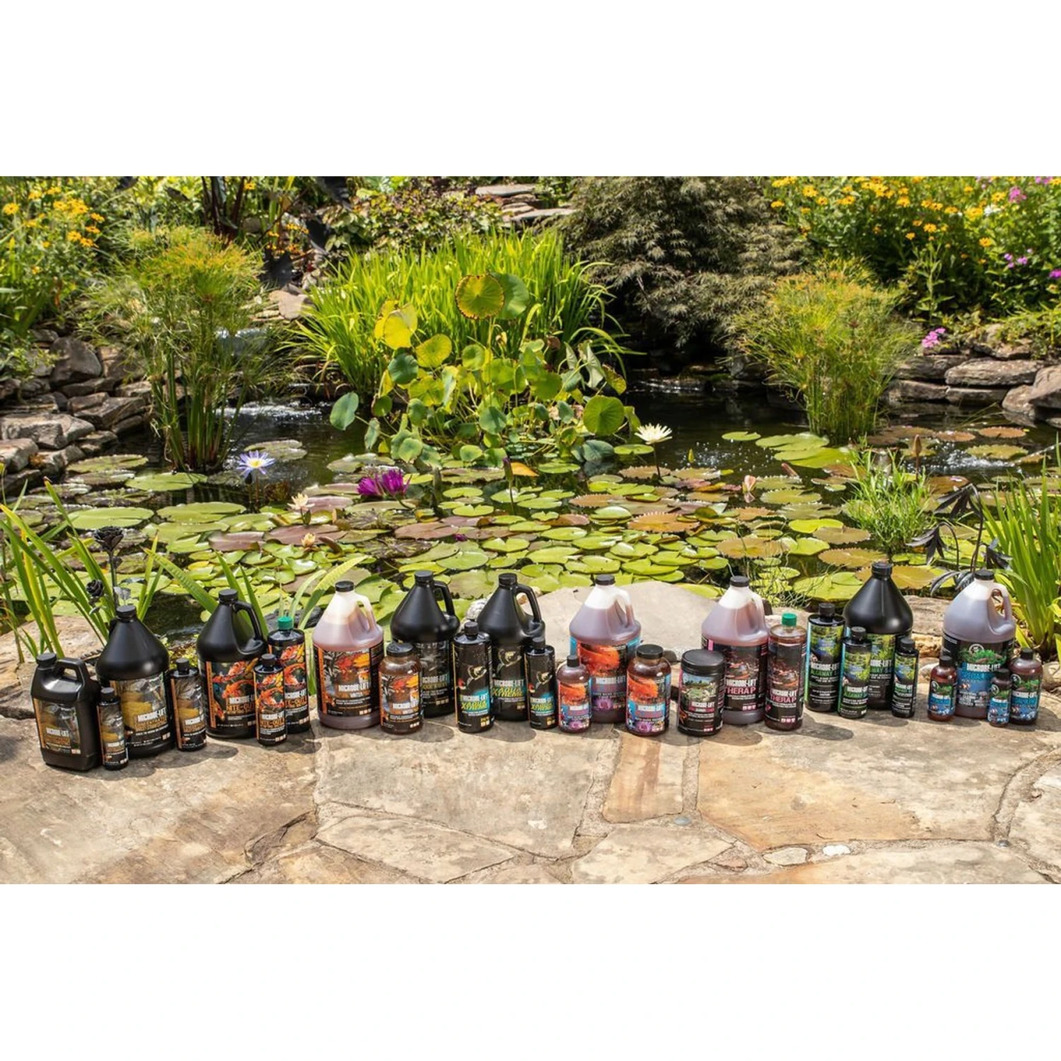 Microbe-Lift PL Pond & Lagoon Bacteria Water Treatment 6 Microbe-Lift PL Pond & Lagoon Bacteria Water Treatment - Image 4