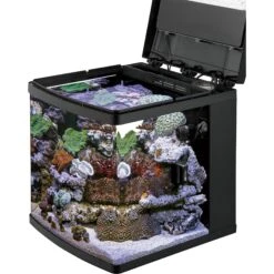 Coralife LED BioCube Aquarium Kit -Plax Penn Shop 163965 PT8. AC SS1800 V1566332843