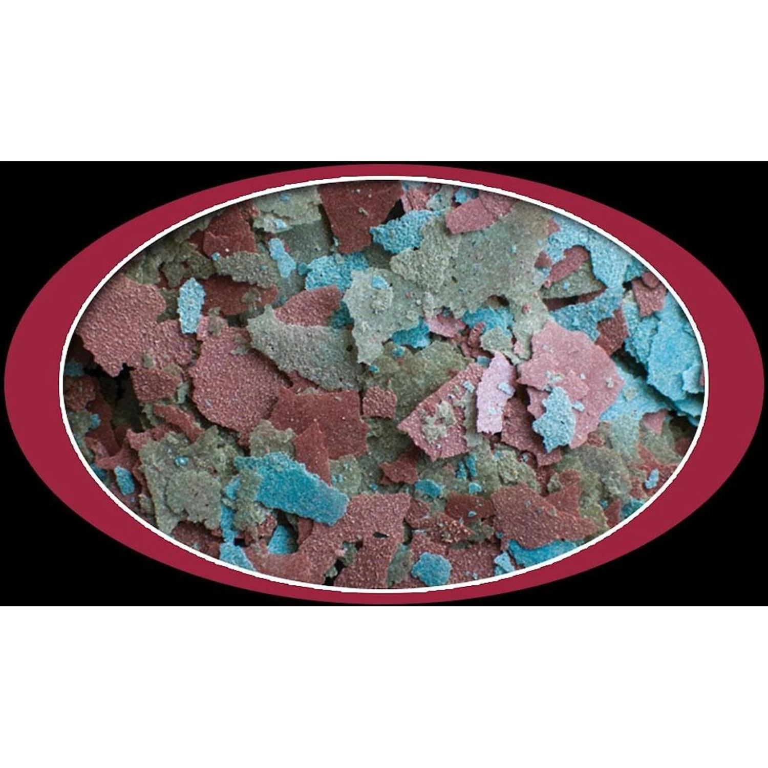 Cobalt Aquatics Cichlid Premium Flakes Fish Food 4 Cobalt Aquatics Cichlid Premium Flakes Fish Food - Image 2