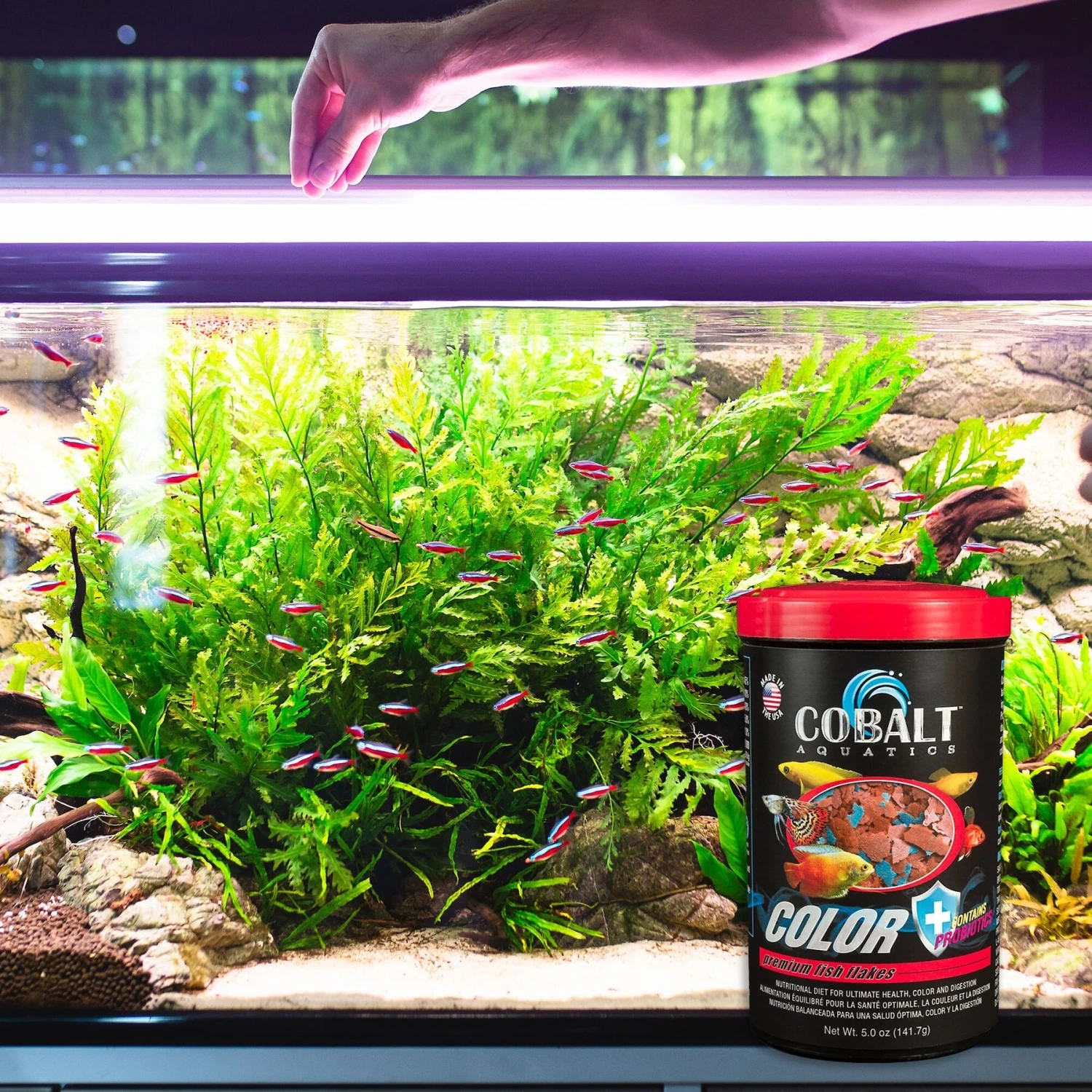 Cobalt Aquatics Color Flakes Fish Food 7 Cobalt Aquatics Color Flakes Fish Food - Image 5