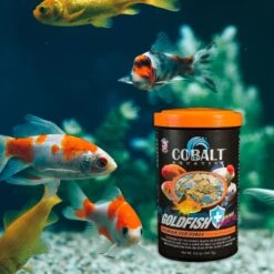 Cobalt Aquatics Goldfish Color Flakes Fish Food 13 Cobalt Aquatics Goldfish Color Flakes Fish Food -Plax Penn Shop 165390 PT6. AC SS1800 V1615869424