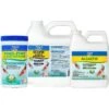 API Pond Essentials Bundle 1 API Pond Essentials Bundle -Plax Penn Shop 165852 MAIN. AC SS1800 V1614355882