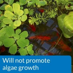 API Pond PH Down Pond Water PH Reducing Solution -Plax Penn Shop 165856 PT4. AC SS1800 V1555957432