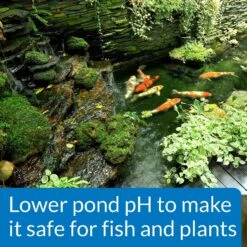 API Pond PH Down Pond Water PH Reducing Solution -Plax Penn Shop 165856 PT5. AC SS1800 V1555957434