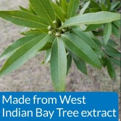 API Pond Pimafix Antifungal Pond Fish Infection Remedy -Plax Penn Shop 165860 PT5. AC SS1800 V1555957635