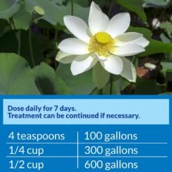 API Pond Pimafix Antifungal Pond Fish Infection Remedy -Plax Penn Shop 165860 PT6. AC SS1800 V1555957637