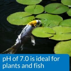 API Pond Wide Range PH Test Kit 160-Test Pond Water Test Kit 11 API Pond Wide Range PH Test Kit 160-Test Pond Water Test Kit -Plax Penn Shop 165868 PT4. AC SS1800 V1555955253