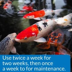 API Pondcare Microbial Algae Clean Green Water Biological Inhibitor -Plax Penn Shop 165871 PT3. AC SS1800 V1555955277