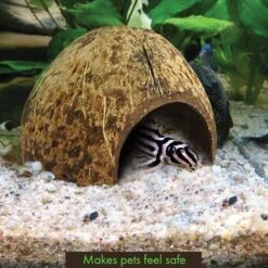 SunGrow Betta Fish Hideout Cave, Decoration For Aquarium & Gecko Tank 10 SunGrow Betta Fish Hideout Cave, Decoration For Aquarium & Gecko Tank -Plax Penn Shop 179572 PT1. AC SS1800 V1561406828