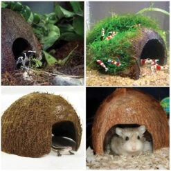 SunGrow Betta Fish Hideout Cave, Decoration For Aquarium & Gecko Tank 11 SunGrow Betta Fish Hideout Cave, Decoration For Aquarium & Gecko Tank -Plax Penn Shop 179572 PT2. AC SS1800 V1561406833