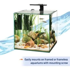Aqueon Freshwater Aquarium Clip-On LED Light 14 Aqueon Freshwater Aquarium Clip-On LED Light -Plax Penn Shop 180554 PT3. AC SS1800 V1631593644