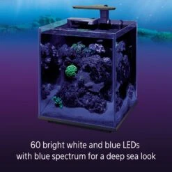Coralife Marine Aquarium Clip-On LED Light -Plax Penn Shop 180558 PT3. AC SS1800 V1631599907