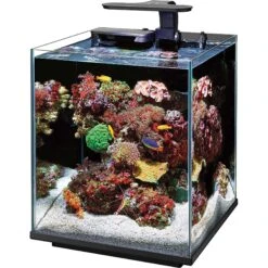 Coralife Marine Aquarium Clip-On LED Light -Plax Penn Shop 180558 PT6. AC SS1800 V1631623058