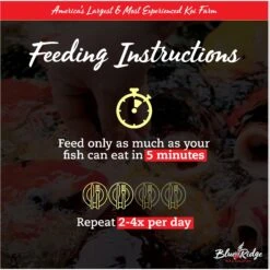 Blue Ridge Koi & Goldfish Large Pellet Growth Formula Koi & Goldfish Food -Plax Penn Shop 189553 PT4. AC SS1800 V1692293324