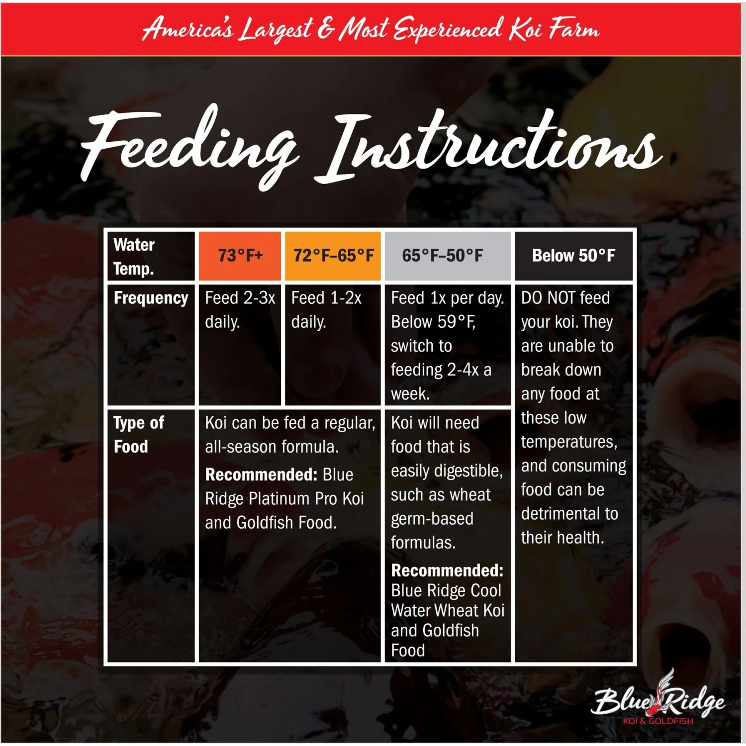 Blue Ridge Koi & Goldfish Mini Pellet Growth Formula Koi & Goldfish Food 5 Blue Ridge Koi & Goldfish Mini Pellet Growth Formula Koi & Goldfish Food - Image 3