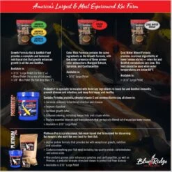 Blue Ridge Koi & Goldfish Mini Pellet Growth Formula Koi & Goldfish Food 13 Blue Ridge Koi & Goldfish Mini Pellet Growth Formula Koi & Goldfish Food -Plax Penn Shop 189556 PT5. AC SS1800 V1692293808