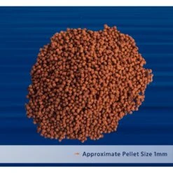 Aqueon PRO Betta Formula Fish Food, 1.4-oz Jar -Plax Penn Shop 206236 PT3. AC SS1800 V1608688961