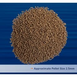 Aqueon PRO Goldfish Formula Fish Food, 5-oz Jar -Plax Penn Shop 206242 PT3. AC SS1800 V1608687172