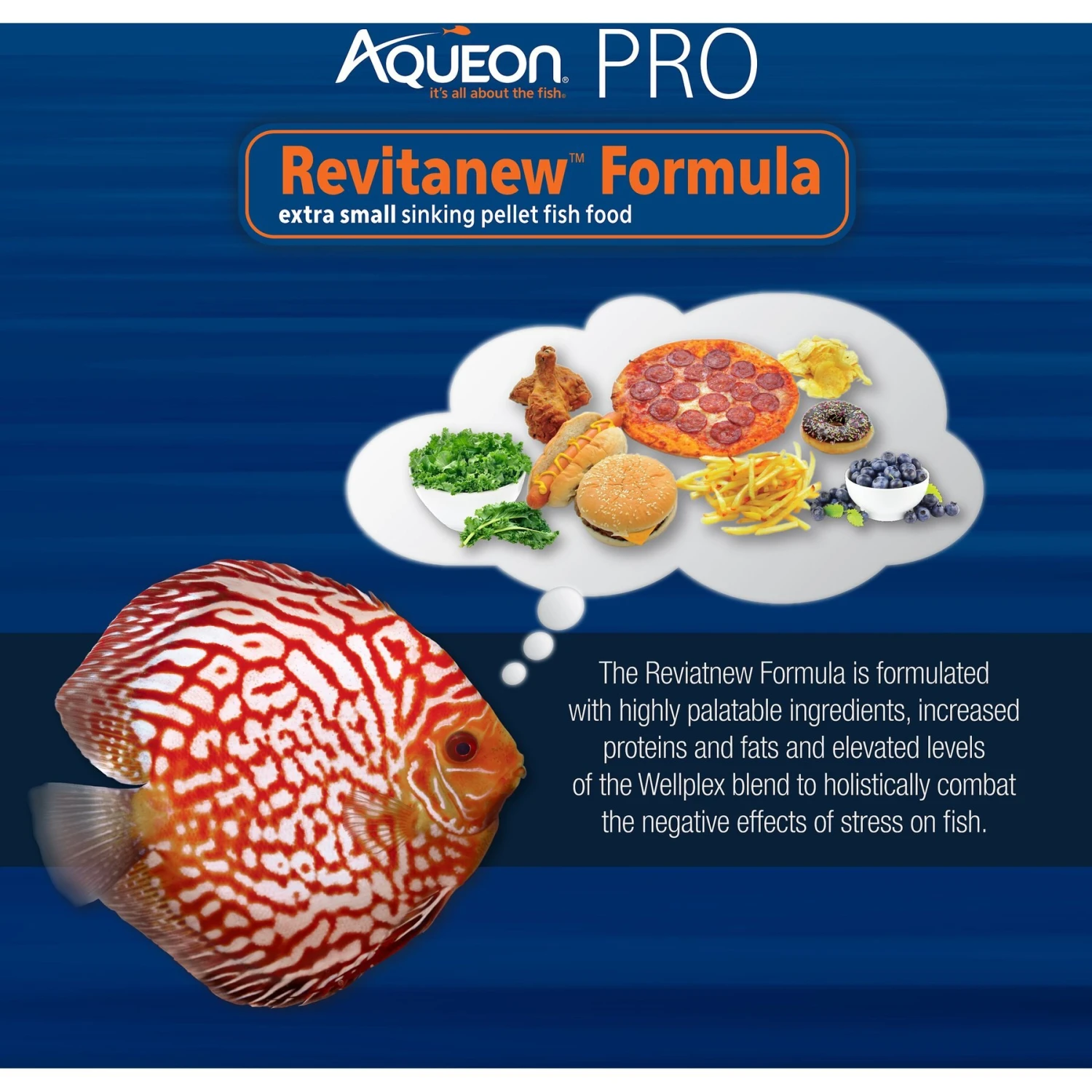 Aqueon PRO Foods Revitanew Formula Fish Food 4 Aqueon PRO Foods Revitanew Formula Fish Food - Image 2