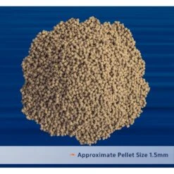 Aqueon PRO Foods Revitanew Formula Fish Food 10 Aqueon PRO Foods Revitanew Formula Fish Food -Plax Penn Shop 206248 PT3. AC SS1800 V1608680572