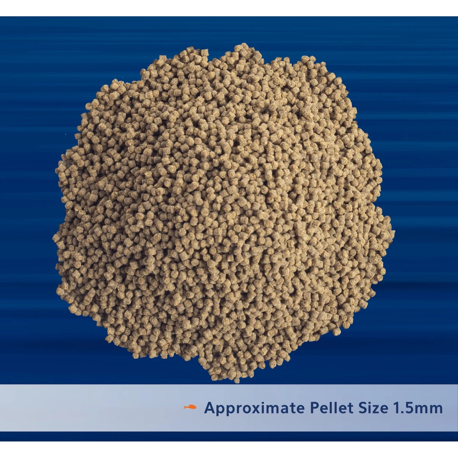 Aqueon PRO Foods Revitanew Formula Fish Food 5 Aqueon PRO Foods Revitanew Formula Fish Food - Image 3