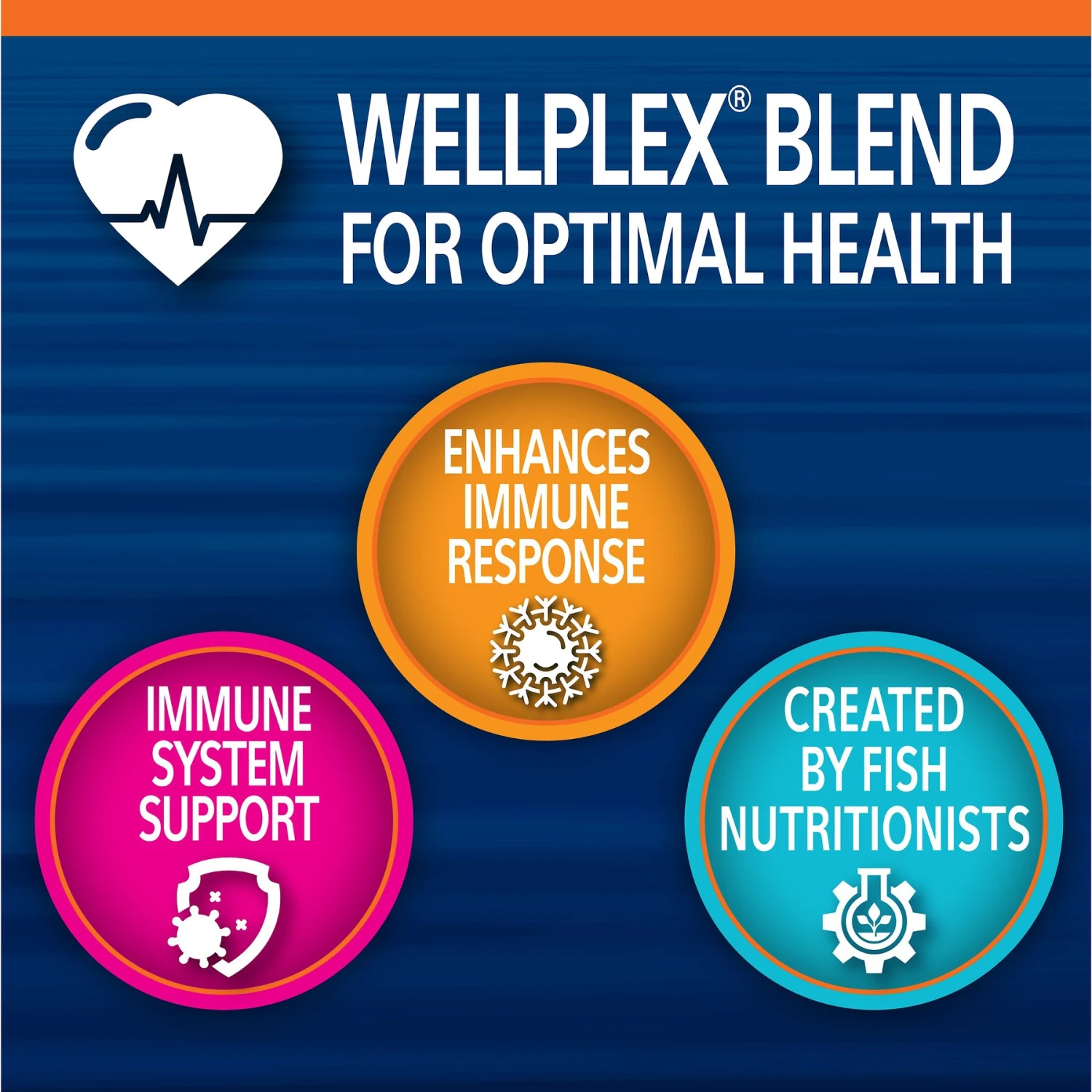 Aqueon PRO Foods Revitanew Formula Fish Food 7 Aqueon PRO Foods Revitanew Formula Fish Food - Image 5