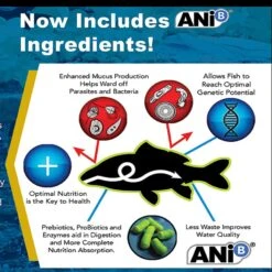 Blackwater Premium Koi And Goldfish Food Cool Season Medium Pellet Fish Food, 40-lb Bag -Plax Penn Shop 206349 PT2. AC SS1800 V1571934206