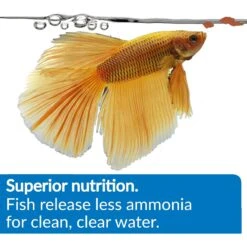 API Betta Flakes Fish Food, 0.36-oz Bottle 11 API Betta Flakes Fish Food, 0.36-oz Bottle -Plax Penn Shop 206574 PT3. AC SS1800 V1571860372