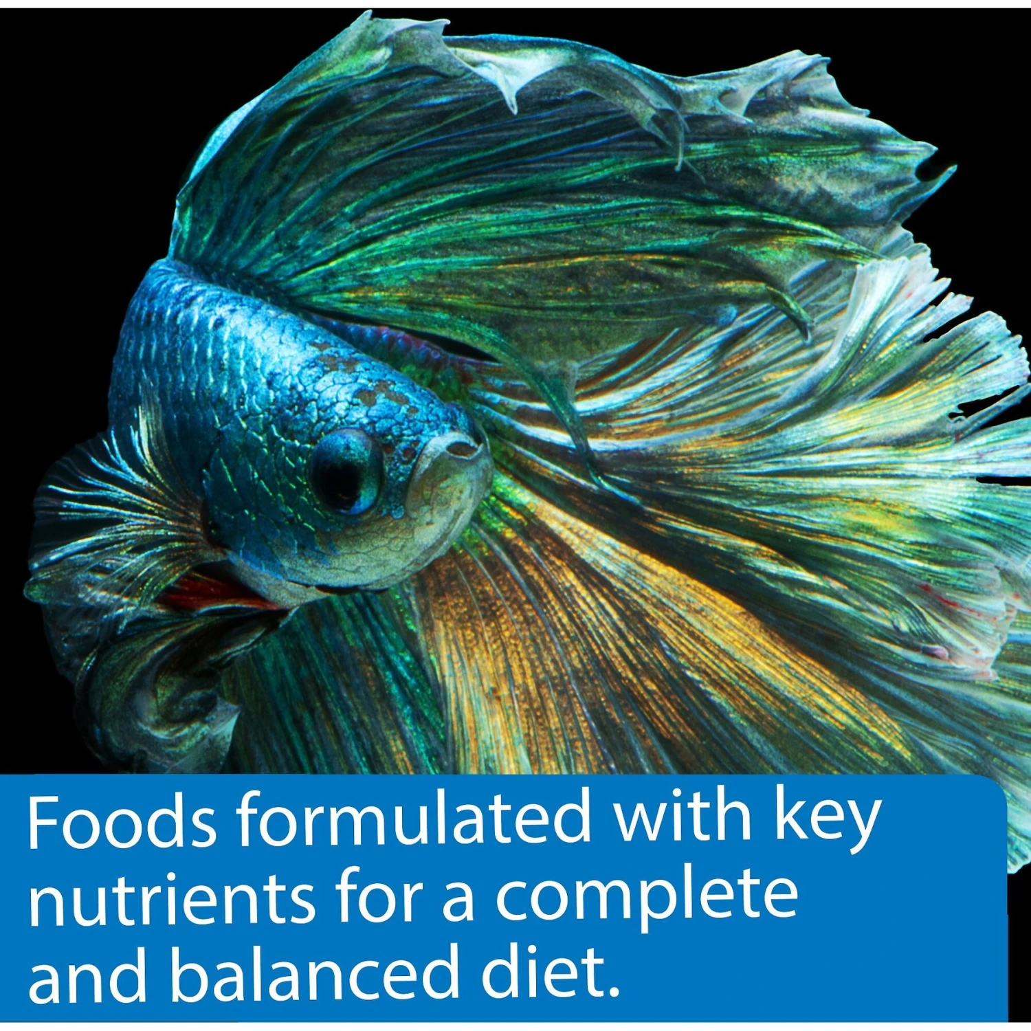 API Betta Flakes Fish Food, 0.36-oz Bottle 8 API Betta Flakes Fish Food, 0.36-oz Bottle - Image 6