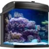 JBJ Aquarium Nano-Cube 40W Wifi LED Fish Aquarium, 28-gal 2 JBJ Aquarium Nano-Cube 40W Wifi LED Fish Aquarium, 28-gal -Plax Penn Shop 230226 MAIN. AC SS1800 V1588093639
