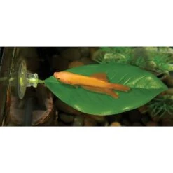 Zoo Med Betta Bed Leaf Fish Hammock, Large -Plax Penn Shop 231127 PT2. AC SS1800 V1586784725