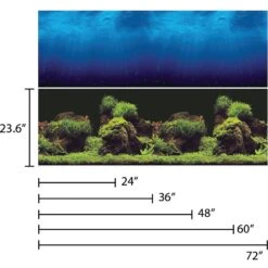 Vepotek Double-Sided Fish Aquarium Background, Deep Sea & Water Plants -Plax Penn Shop 231317 PT4. AC SS1800 V1588005427