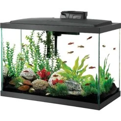 Aqueon LED Aquarium Starter Kit, 20-gal